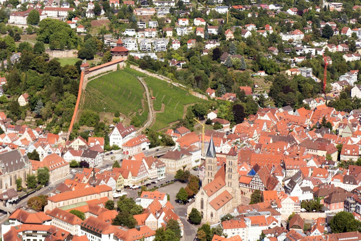 Luftbild Luftbild: Weinberge, Burg, Rathaus, Stadtkirche