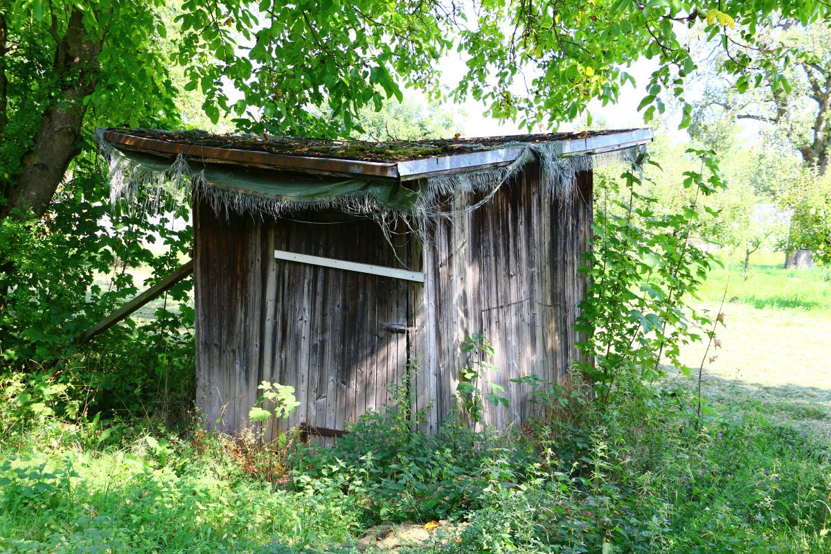 Geschirrhütte Eine alte Geschirrhütte unter einem Baum.