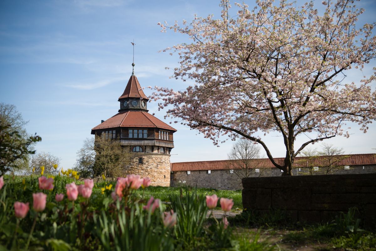 Dicker Turm Dicker Turm und Sailergang vom Burghof aus gesehen.