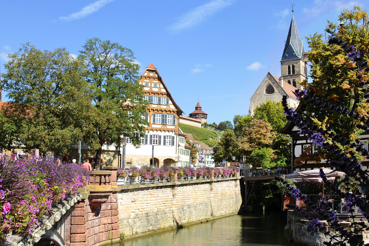 Blick über den Rossneckar: Fachwerkhaus, Stadtkirche und Dicker Turm