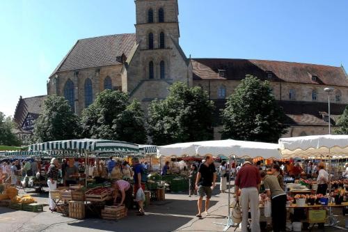 Wochenmarkt auf dem Marktplatz