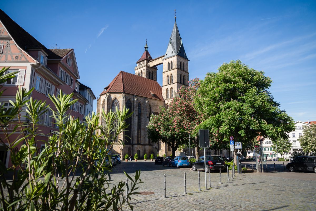 Marktplatz Blick über den Marktplatz auf die Stadtkirche