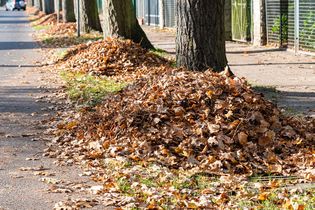 Herbstlaub liegt zusammengekehrt am Straßenrand