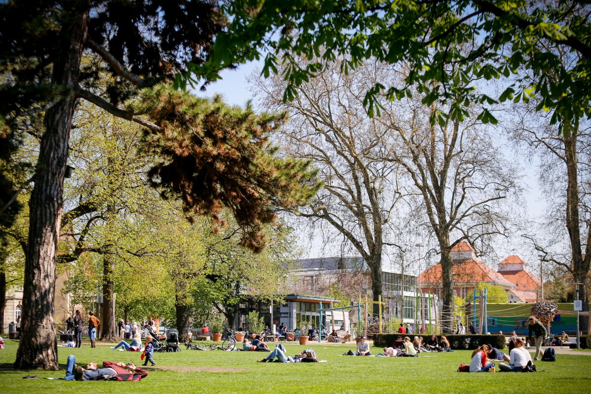 Stadtpark Maille, viele Menschen sitzen und liegen auf der Wiese.