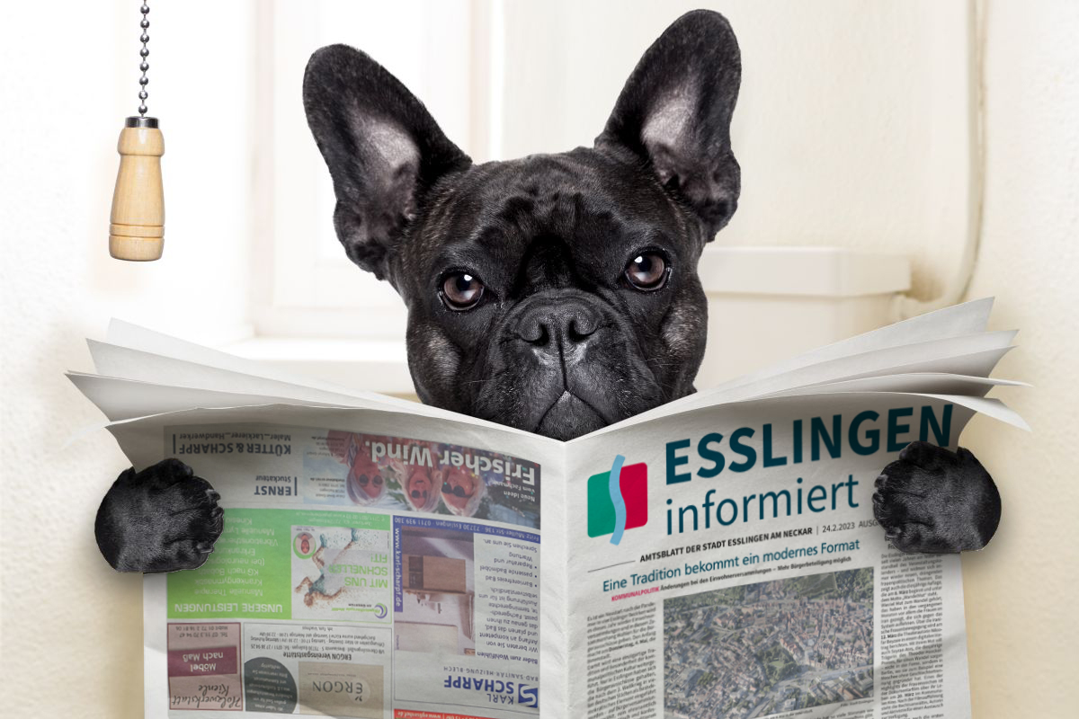 Hund liest Zeitung auf der Toilette