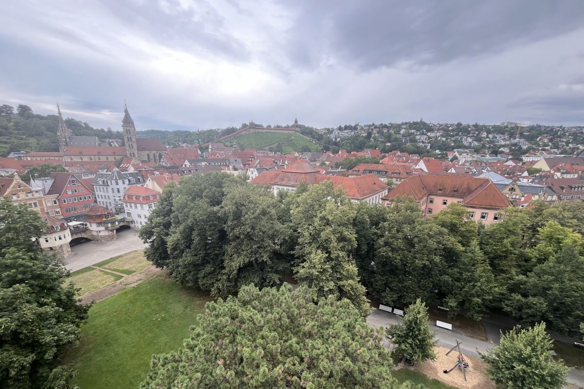 Blick aus 30 Meter Höhe über die Maille zur Burg