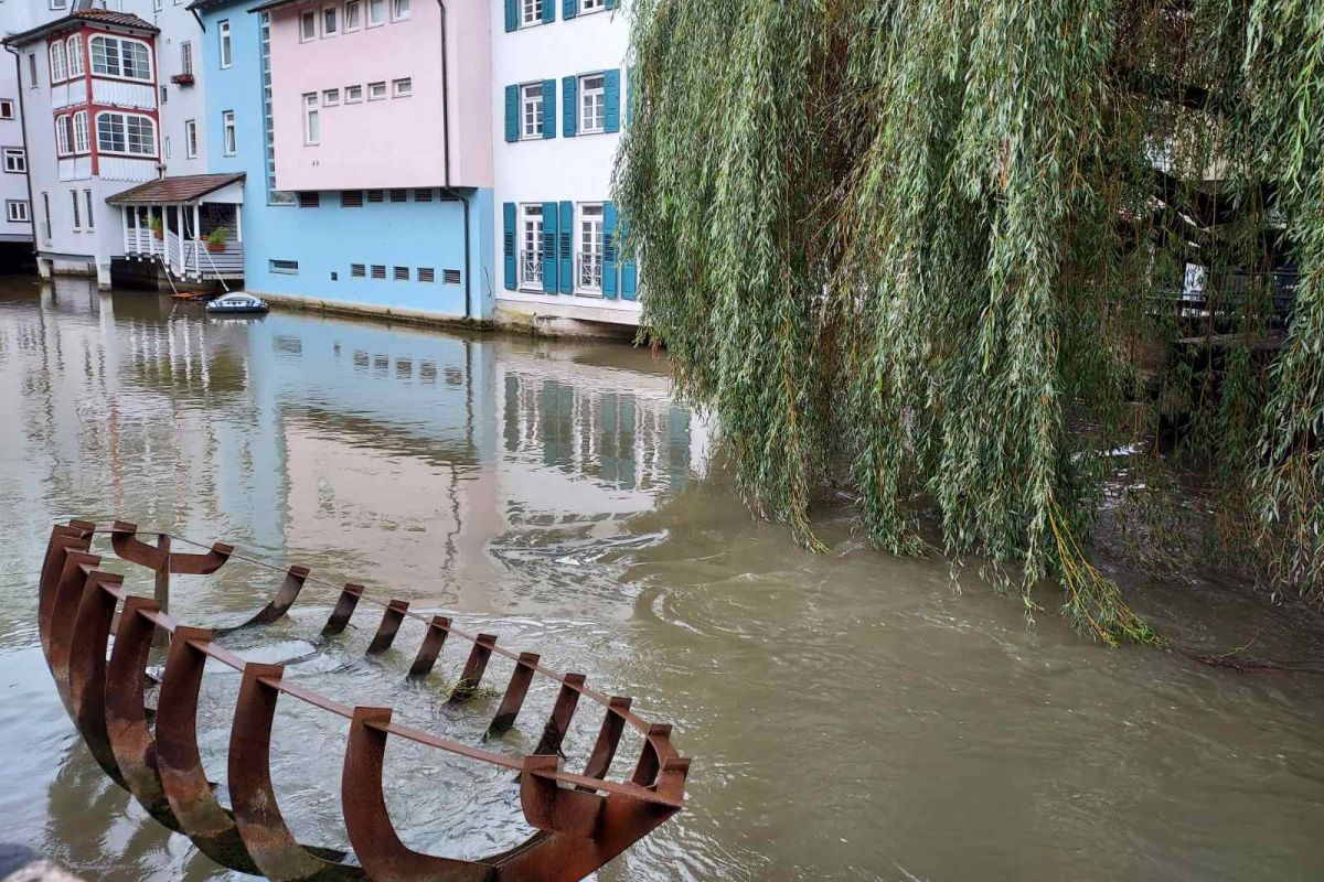 Foto des Rossneckars am Kesselwasen, im Wasser zu sehen ist das Kunstwerk "wreck" von Bertl Zagst, ein Bootsgerippe aus Stahl