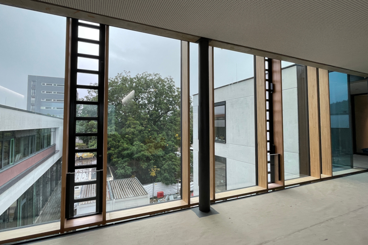 Blick aus dem Neubau auf Altbau und Flügelnuss