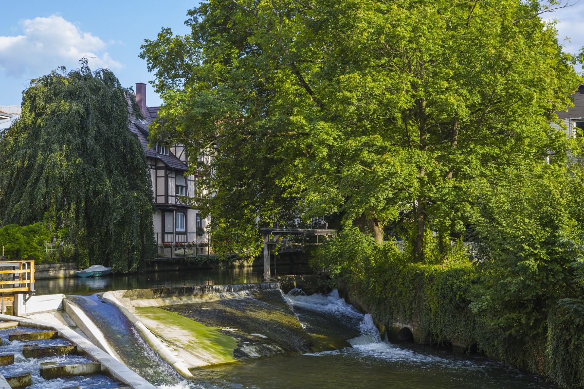 Wehr am Hammerkanal, der Neckarkanal fließt das Stauwerk im Schatten eines großen Baums bergab