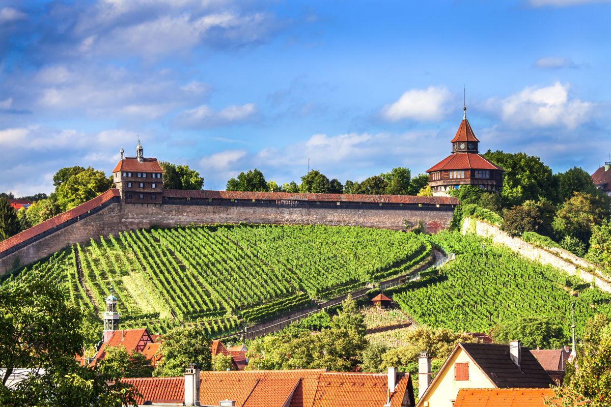 Blick über die Weinberge zur Esslinger Burg.