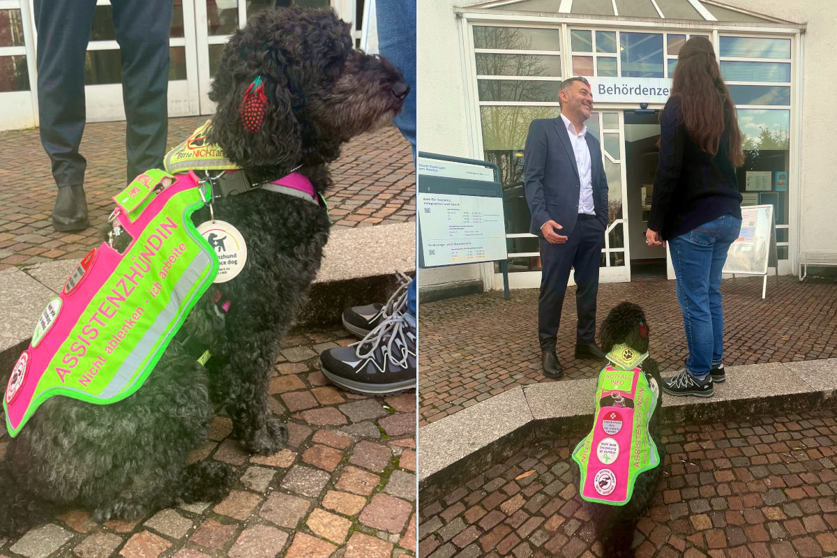 Assistenzhund wird mit seinem Frauchen von Bürgermeister Bayraktar willkommen geheißen