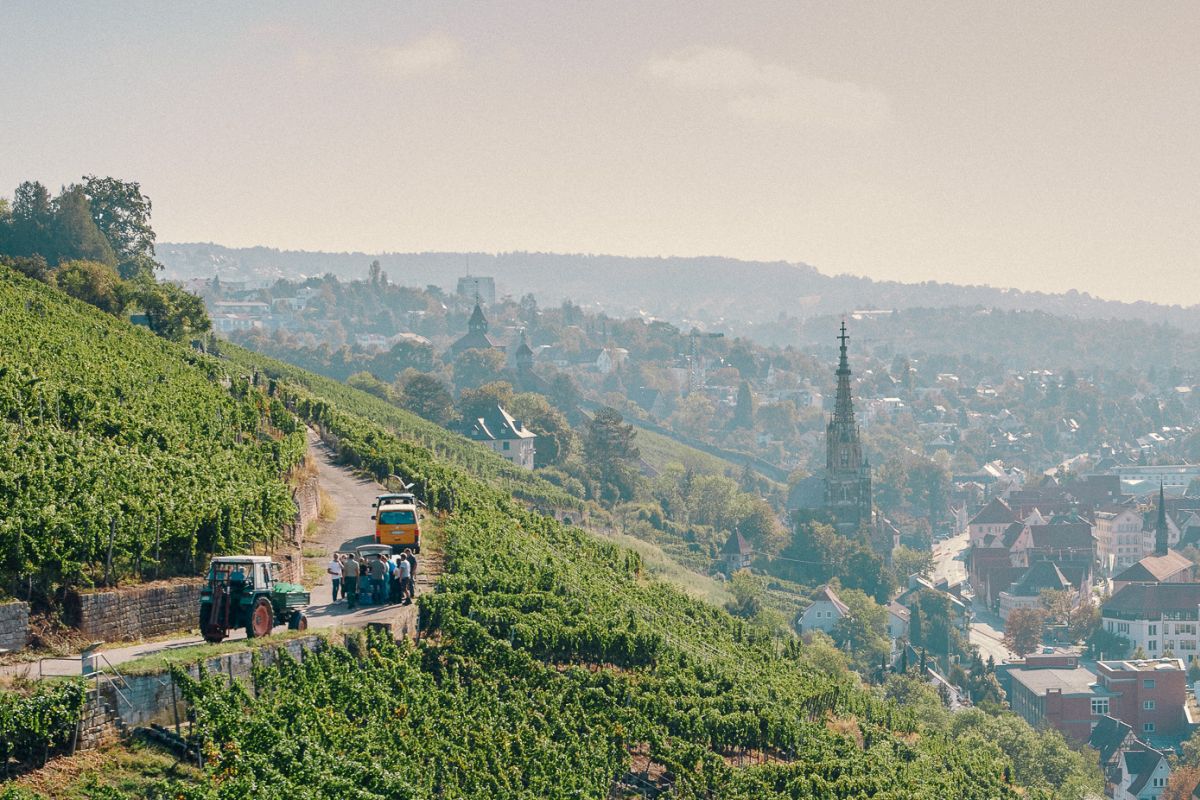 Weinberge Traktoren in den Esslinger Steillagen
